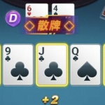 开元棋牌终极德州扑克游戏玩法介绍-棋牌技巧-棋牌策略论坛