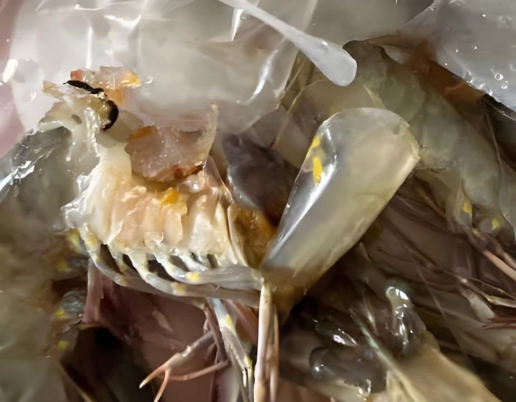 3ad989421920250507115402